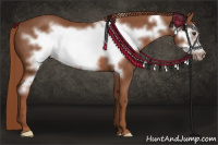 Horse Color:Liver Chestnut Frame 