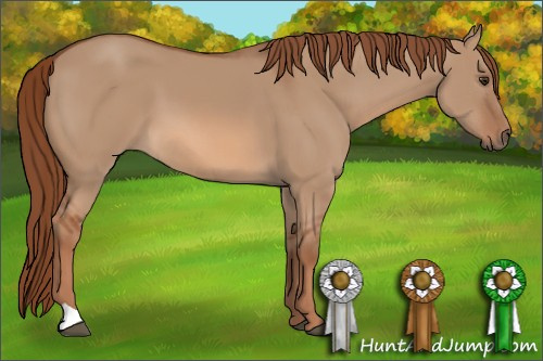 Horse Color: Red Dun 
