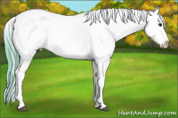 Horse Color:Watercolor Brown Appaloosa Rabicano