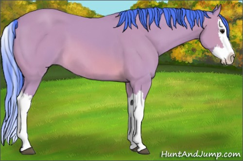 Horse Color: Watercolor Buckskin Splash 
