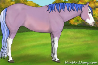 Horse Color:Watercolor Buckskin Splash 