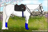 Horse Color:White Spotted Palomino Dun Frame Appaloosa Rabicano 