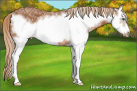 Horse Color:White Spotted Chestnut Ice Splash Frame