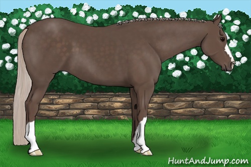 Horse Color:Silver Black 