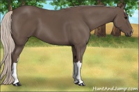 Horse Color:Silver Black 