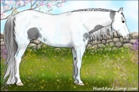 Horse Color:Black Splash Tobiano Varnish 