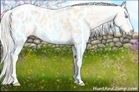 Horse Color:Cremello Sabino Blanket 