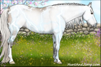 Horse Color:Gray White Spotted Silver Buckskin Rabicano 
