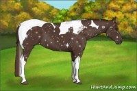 Horse Color:Liver Chestnut Tobiano 