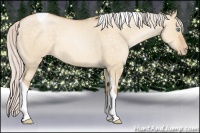 Horse Color:Silver Buckskin Pearl Dun Tobiano 