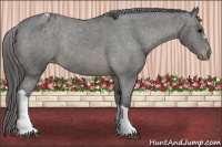 Horse Color:Black Varnish Rabicano 