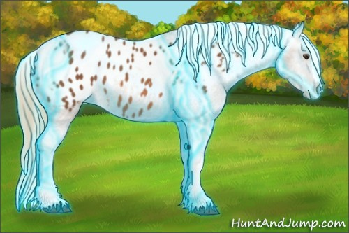 Horse Color: Thunderstruck Chestnut Blanket 