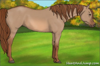 Horse Color:Liver Red Dun 
