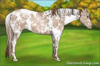 Horse Color:White Spotted Liver Chestnut Ice Pearl 
