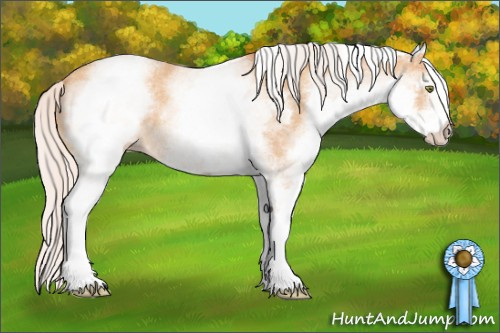 Horse Color: White Spotted Silver Amber Champagne Roan 