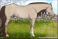 Horse Color:Classic Champagne Roan Dun Rabicano