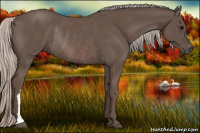 Horse Color:Silver Brown Rabicano 