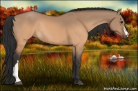 Horse Color:Brown Dun Rabicano 