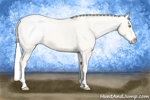 Horse Color: Silver Classic Cream Champagne Splash Snowcap 