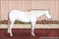 Horse Color:White Spotted Bay Dun Splash Snowcap 