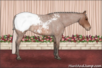 Horse Color:Silver Bay Roan Snowcap 