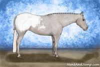 Horse Color:Silver Brown Snowcap 