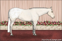 Horse Color:Silver Buckskin Roan Sabino Blanket 