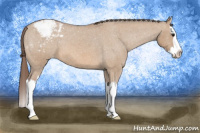 Horse Color:Bay Roan Dun Splash Snowcap 