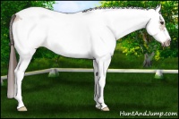 Horse Color:White Spotted Liver Red Dun Splash Frame 