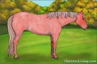 Horse Color:Watercolor Liver Red Roan 