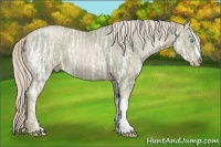 Horse Color:Watercolor Chocolate Palomino Ice Pearl 