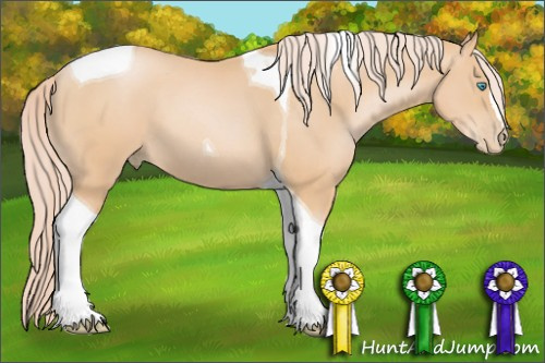 Horse Color: Palomino Pearl Tobiano 