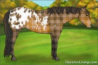 Horse Color:Plaid  Brown Blanket 