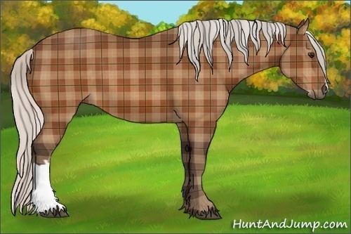 Horse Color: Plaid  Silver Bay 