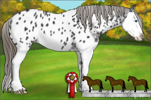 Horse Color: Smoky Blue Roan Splash Near Leopard 