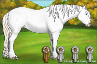 Horse Color:White Spotted Perlino Splash 