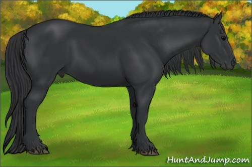 Horse Color: Brown 