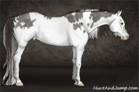 Horse Color:White Spotted Liver Red Roan Splash 