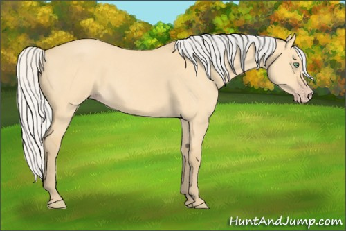 Horse Color: Silver Amber Cream Champagne Roan Dun 
