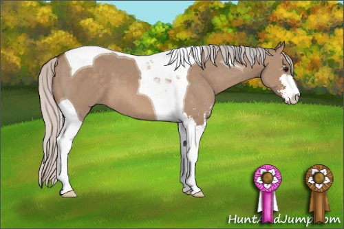 Horse Color: Silver Grullo Sabino Tobiano 