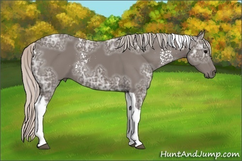 Horse Color: White Spotted Silver Black Ice Tobiano 