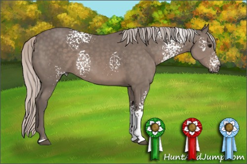 Horse Color: White Spotted Silver Black Sabino 