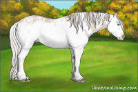Horse Color:White Spotted Silver Brown Ice Dun Sabino Splash Rabicano