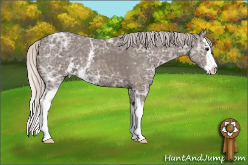 Horse Color: White Spotted Silver Black Ice Sabino Splash 