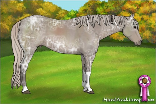 Horse Color: Silver Black Ice Sabino Tobiano 