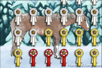 Horse Color:Silver Black Ice Sabino Splash