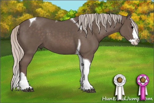 Horse Color: Silver Black Sabino Splash Tobiano 