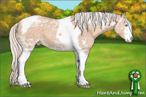 Horse Color: Silver Classic Champagne Ice Sabino Tobiano 