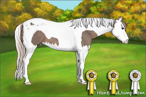 Horse Color: Silver Black Sabino Splash Tobiano 
