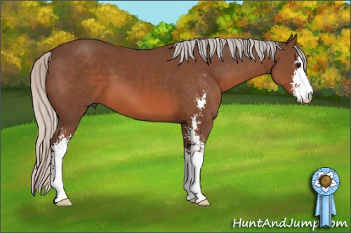 Horse Color: Silver Brown Sabino 